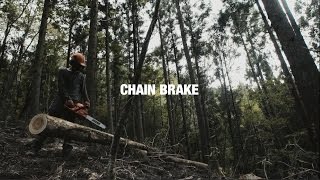 See how an ECHO chainsaw's Chain Brake works!