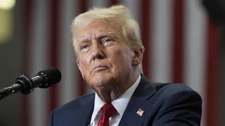 Leaked report reveals Trump effect behind Liberals’ historic 2025 election loss