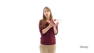 An insight of Pelvic Health: Kegel vs Pelvic Floor Contraction