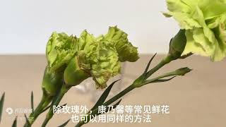 热水烫根法：开水养花，一招让花起死回生，玫瑰康乃馨等插花急救