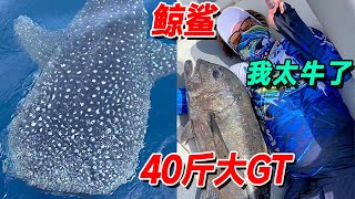 After the whale shark was discovered on the sea, I won the first 40kg GT in my life! But the conseq