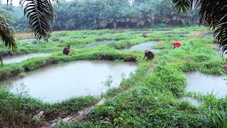 PERJUANGAN MENCARI SPOT MANCING BELUT ! HASILNYA MENGEJUTKAN