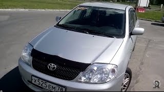 Выбираем Toyota Corolla E12 (бюджет 300тр)