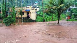 ആര്യൻകാവിൽ തോരാത്ത മഴയിൽ കരകവിഞ്ഞ് ഒഴുകുന്നു