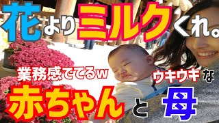 初めての1日お出かけは『お宮参り』帰りたいオーラ全開の赤ちゃんを連れまわしてみたww