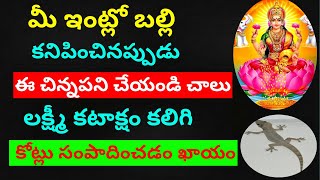 మీ ఇంట్లో పదే పదే బల్లి కనిపిస్తే ఈ పని చేయండి కోట్లు సంపాదించడం మొదలుపెడతారు-Lizard Tips For House