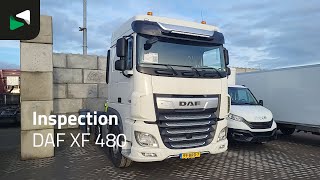 DAF XF 480 - 2020 - BAS World