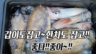 통영한치 2차 탐사~(씨프랜드호)