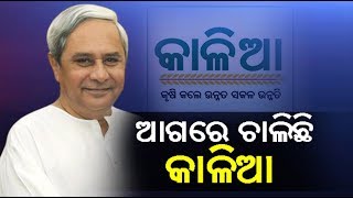 ଆସନ୍ତା ୧୫ରୁ ଭୂମିହୀନଙ୍କୁ କାଳିଆ ସାହାଯ୍ୟ, ୨୨ରୁ କ୍ଷୁଦ୍ର ଓ ନାମମାତ୍ର ଚାଷୀଙ୍କୁ ଦ୍ୱିତୀୟ ପର୍ଯ୍ୟାୟ  ସହାୟତା