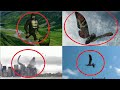 5 Godzilla Characters Caught on Camera & Spotted in Real Life 6