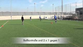 Ballbeherrschung GC Zürich Februar 2012