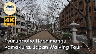 【4K60】 Kamakura, Japan Walking - Tsurugaoka Hachimangu