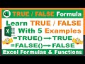 #224-How to use TRUE FALSE Function in Excel with 5 Examples