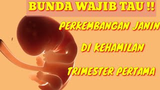 PANTAU PERKEMBANGAN JANIN TRIMESTER  1 KEHAMILAN || KEHAMILAN TRIMESTER PERTAMA