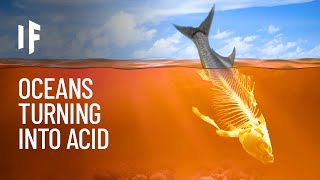 What If All Oceans Turned Into Acid?