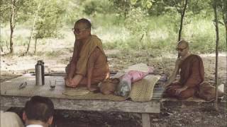 หลวงปู่ชา ไกลหลักภาษาอีสาน สุภัทโท พระโพธิญาณเถร  วัดหนองป่าพง อุบลราชธานี