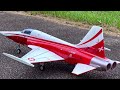 a weird little jet freewing f 5n tiger ii 80mm rc plane