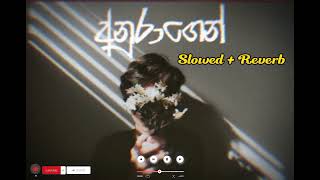 අනුරාගෙන් | Anuragen | Slowed + Reverb  @DanaMusicHub