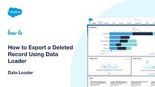 How to Export a Deleted Record Using Data Loader