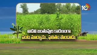 Matti Manishi Full Episode | మట్టి మనిషి | Agriculture Tips | 19-01-2025 | 10TV