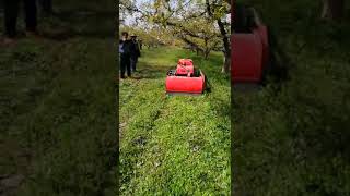 Remote Control Orchard Crawler Tractor with mower