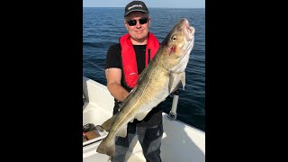 Sommer fiskeri efter Torsk i Langelandsbæltet, Kabeljau Langlandgürtel Dänemark, Fishing denmark