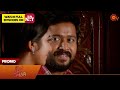 Singappenne - Promo | 25 Nov 2024 | Tamil Serial | Sun TV