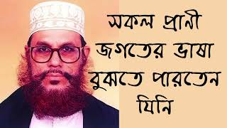 সকল প্রাণী জগতের ভাষা বুঝতে পারতেন যে নবী | আল্লামা দেলোয়ার হোসেন সাঈদীর ওয়াজ