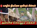 #breakingnews 🛑 யாழில் திடீரென குவியும் மீன்கள் | வெள்ளத்தில் மிதக்கும் வீடுகள்.#jaffna #trending