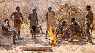 হাদজা এত সুস্থ কেন? Hadza people History of Tanzania | shahidontheyoutube