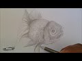 ep.11 วาดภาพปลาทอง drawing goldfish speed drawing