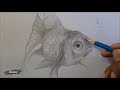 ep.11 วาดภาพปลาทอง drawing goldfish speed drawing