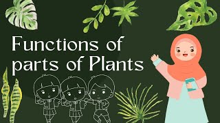 Parts of a Plant and Their Functions | Easy Learning for Kids| @Learninglounge209