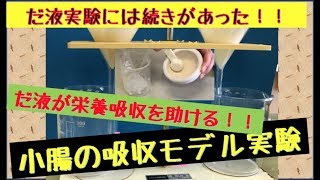 小腸で吸収する授業