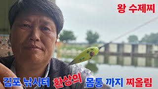 환상의 찌올림 왕 수제찌 전자찌 몸통 까지만 챔질 김포 낚시터 에서