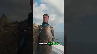 Insane Grouper Catch! Offshore Fishing Adventure