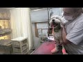 ⑩洋犬ミックスの健ちゃんの治療