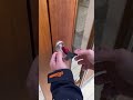 Esta es la ganzúa mas impresionante para abrir cerraduras cerradas con llave 🔑