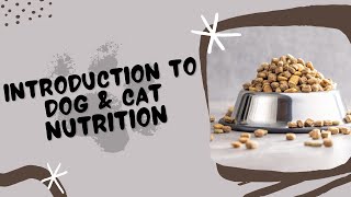 Introduction to Dog \u0026 Cat Nutrition