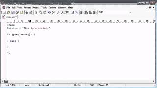 Beginner PHP Tutorial 44 Expression Matching flv