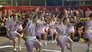 【日本の祭り】「第63回東京高円寺阿波おどり」2019/8/24桃園演舞場[Nipon Matsuri]Tokyo Koenji Awa Odori令和元年Awa Dance Festival