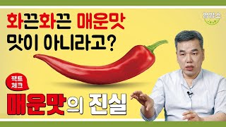 매운맛을 느끼는 건 입이 아니고 어디? 2021년 노벨상까지 받은 매운맛의 비밀