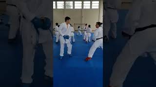 Estágio do Sensei Rui Diz🇵🇹🥋  #karate #kumite #fy #martialarts #wkf #reels