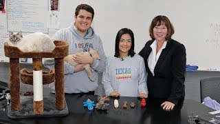 How to Pick the Perfect Gift for Your Pets