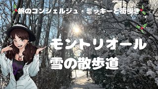 雪の散歩道・冬を愉しむ秘訣