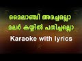 Mylanchi arachallo karaoke with lyrics