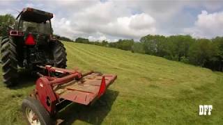 Double Hay Conditioning?!?