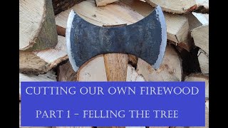 Cutting firewood at home - (Part 1 - Felling the tree)