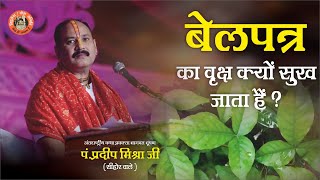 बेलपत्र का वृक्ष क्यों सुख जाता है  - Pandit Pradeep Ji Mishra Sehore Wale