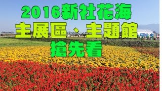 Taiwan Travel Taichung Xinshe Flower Festival